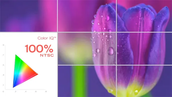 20141119-color-iq.jpg