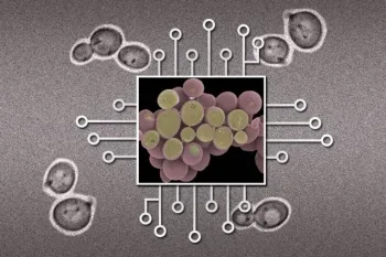 20141125-biological-circuits-2_0.jpg