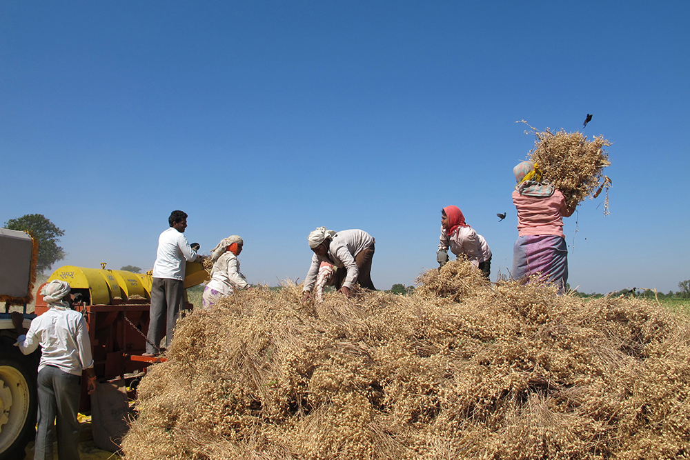 Turning Corn Waste Into an Innovative Bio-Based Material